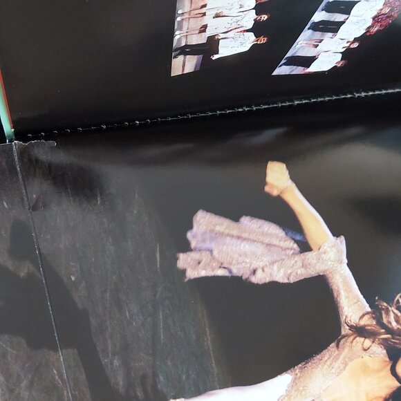 Celine Dion A New Day DVD Set and The Colosseum at Caesars Palace Las Vegas 2007 - Picture 14 of 16